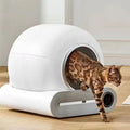 Smart Litter Box